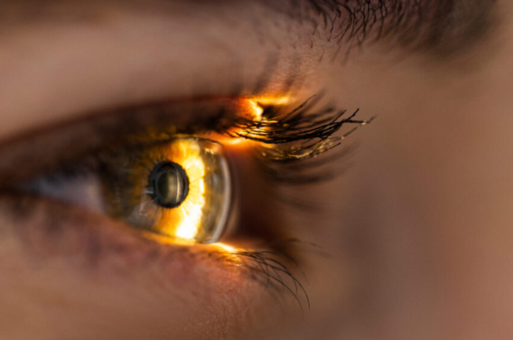 Tecnología optogenética de RAY THERAPEUTICS